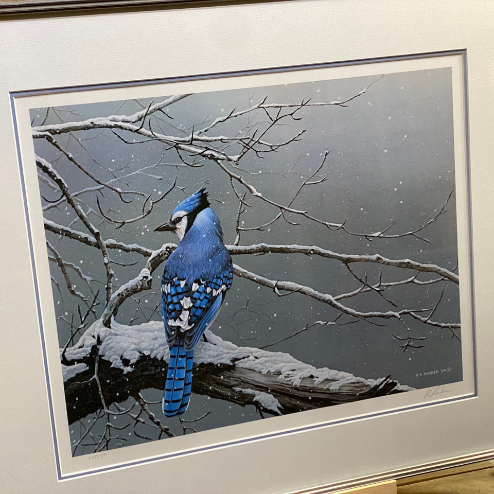 Winter Jay - by Ron (R.S.) Parker - Bluejay - Limited print